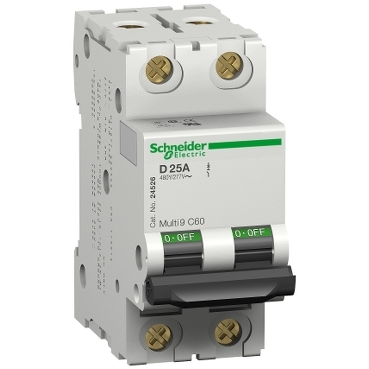 Schneider Electric LS-SCHALTER UL1077 C60N 2P 35A B