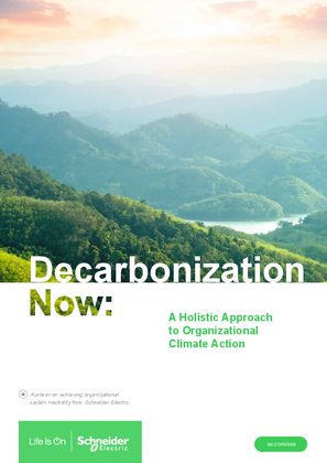 Image of Decarbonization Now: A Holistic Approach to Organizational Climate Action