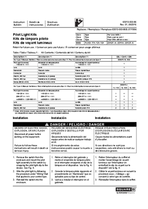 Image of Pilot Light Kits, 9999PL Installation Instructions