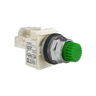 Image of 9001K2L1LGGH5 : PUSH BUTTON 600VAC 10A 30MM T-K