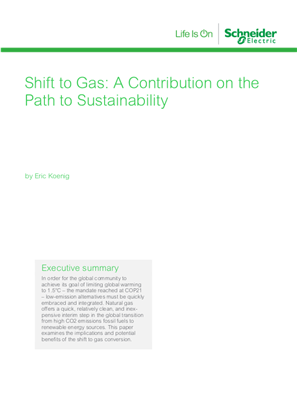 Shift to Gas: A Contribution on the Path to Sustainability