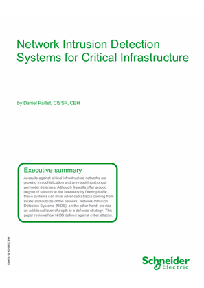 Network Intrusion Detection Systems for Critical Infrastructure