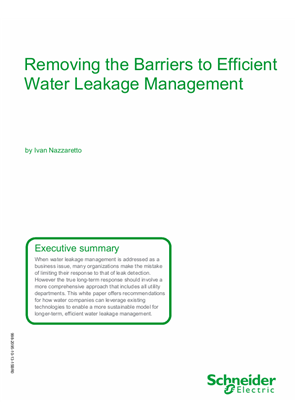 Image of Removing the Barriers to Efficient Water Leakage Management