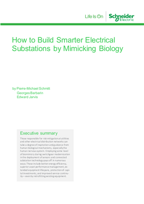 Image of How to Build Smarter Electrical Substations by Mimicking Biology