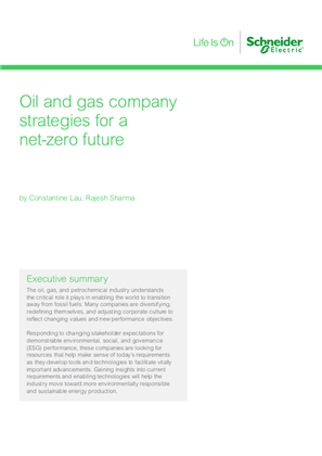 Image of Oil and Gas Company Strategies for a Net-zero Future