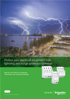 Podoba osebe Protect your electrical equipment from lightning and surge protection damage