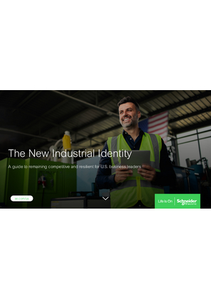 Image of The New Industrial Identity