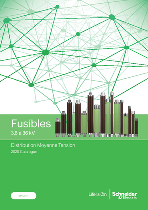 Image de Fusibles de 3,6 à 36 kV Catalogue 2020