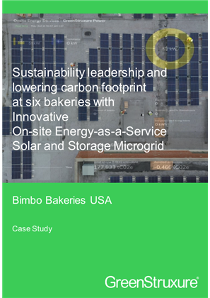 Obraz Bimbo-case-study