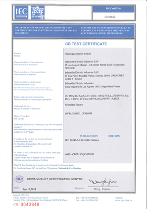 的映像 CB Certificate SDX GV4ADM1111_LV426900