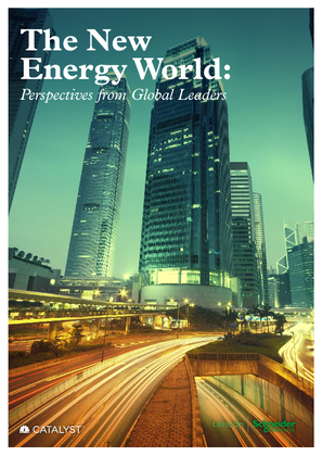 Image of The New Energy World: Perspectives from Global Leaders