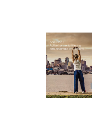 Image of ProCat_PFC Capacitor Bank_ Controller relays and Switching Contratror