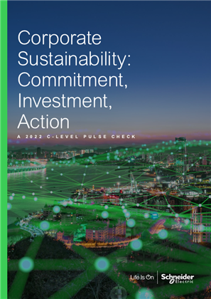 Image of Corporate Sustainability: Commitment, Investment, Action, A 2022 C-Level Pulse Check
