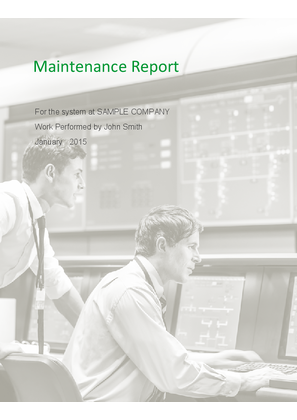 Image of Example Report: Digital Service Plan Software Diagnostics