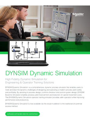 Image of DYNSIM Dynamic Simulation
