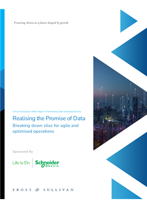 Imagen de Realising the Promise of Data Breaking down silos for agile and optimised operations