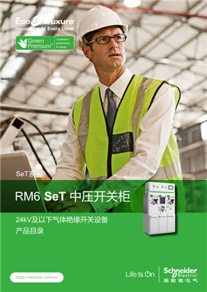 的映像 RM6 SeT 中压开关柜 产品目录