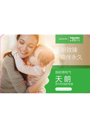 的映像 施耐德电气天朗系列终端配电箱