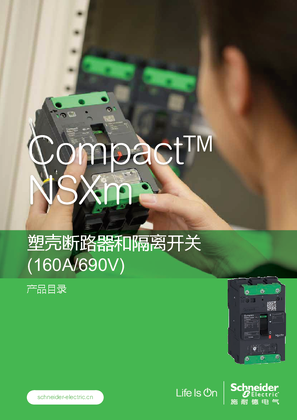 的映像 Compact NSXm塑壳断路器和隔离开关（160A/690V）产品目录