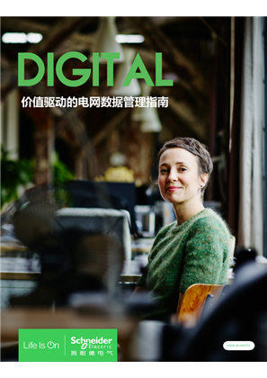 的映像 价值驱动的电网数据管理指南