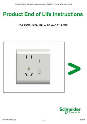 Image of 10A 250V~ 5 Pin Skt w 2G A+C 2.1A,WE