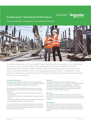 Image of EcoStruxure Grid Asset Performance - A complete view of utility data for smarter maintenance priorities