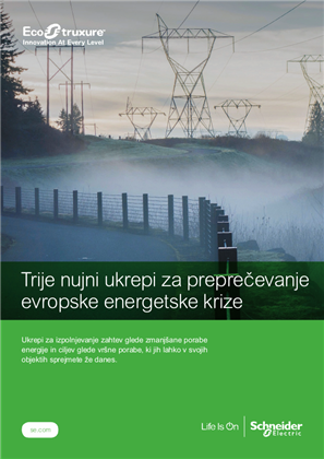 Podoba osebe Trije nujni ukrepi za preprečevanje evropske energetske krize