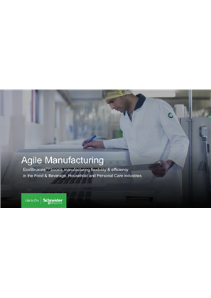 Immagine di F&B Agille Manufacturing - Process Control System