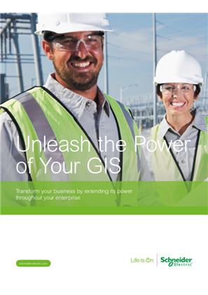Image de Unleash the Power of Your GIS White Paper
