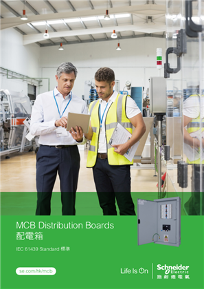 Image of MCB Distribution Boards 配電箱