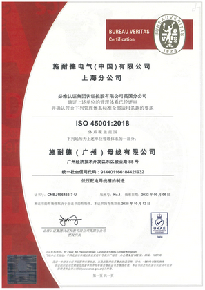 Bild von ISO45001 Certificate China SBG SMS