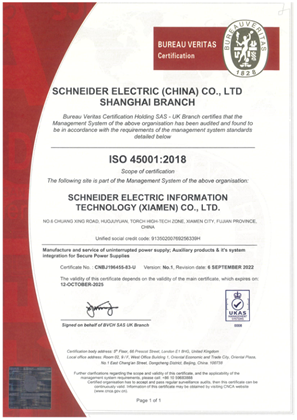 Bild von ISO45001 Certificate China SITX SMS