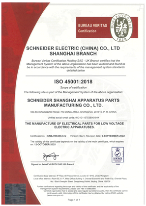 Obraz ISO45001 Certificate China SSAM SMS