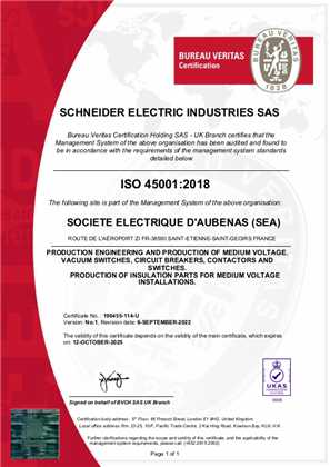 Obraz ISO45001 Certificate France SEA St Etienne de St Geoirs SMS