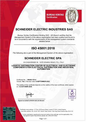 イメージ ISO45001 Certificate Italy Venaria SMS