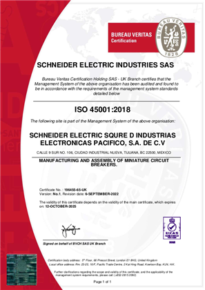 Image of ISO45001 Certificate Mexico Tijuana 1 SMS