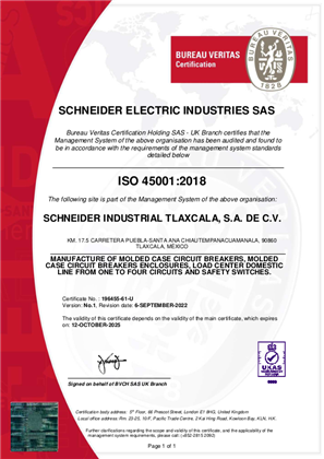 Image of ISO45001 Certificate Mexico Tlaxacla SMS