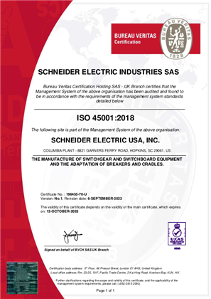 Image of ISO45001 Certificate USA Columbia SC Plant SMS