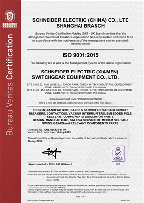 Bild von ISO9001 AVX Certificate