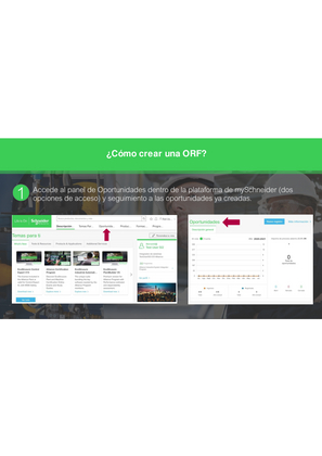 Imagen de Ingreso de ORF en mySchneider
