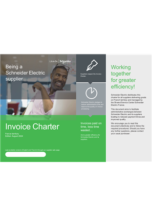 Image of Schneider Electric invoice charter view EN