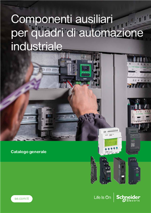 Immagine di Componenti ausiliari per quadri di automazione industriale