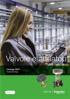 Immagine di VALVOLE E ATTUATORI