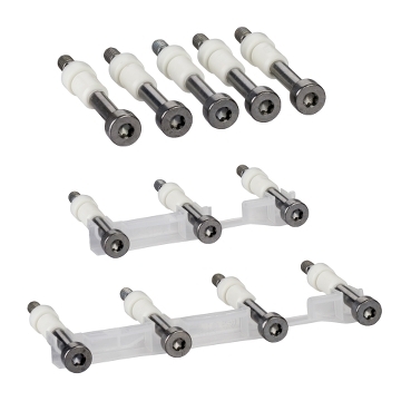 的映像 LV429513 : 限力矩螺钉 - 用于 NSX100..250 - 一组 12 个