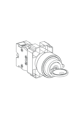 的映像 2 POSITION STAY PUT KEY SWITCH - 3D CAD