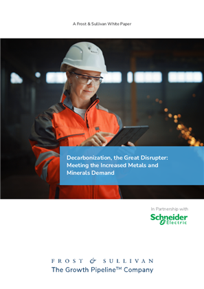 Image of A New Age for the Metals and Minerals Processing Chapter 1