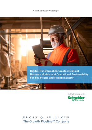 Image of A New Age for the Metals and Minerals Processing Chapter 3