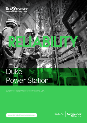 Image of Duke Power Station