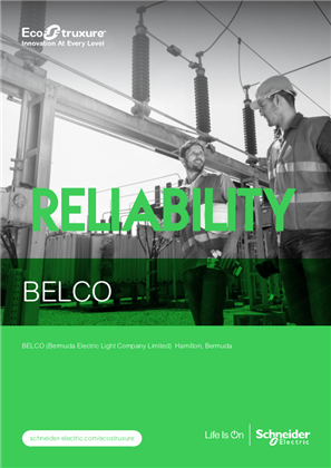 Obraz Belco