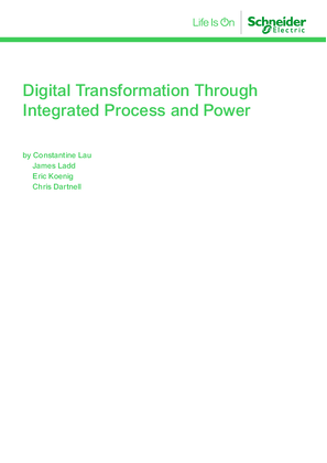 Imagen de Integrated Process and Power